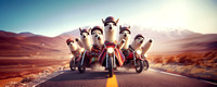 gang of funny angry lamas ride motorbikes in desert scream fury
