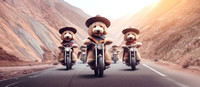 gang of funny cool labradoodles riders wear poncho drive motorbi